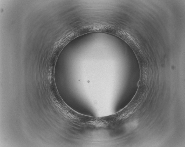 X0000059060545200510171942