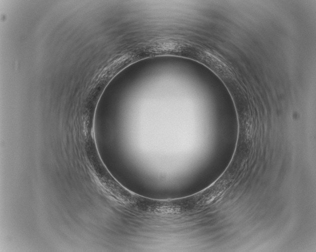 X0000059060546200510171942