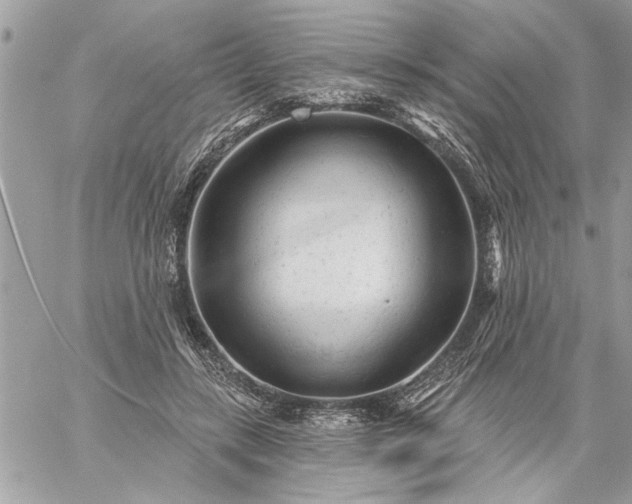 X0000059060547200510171942