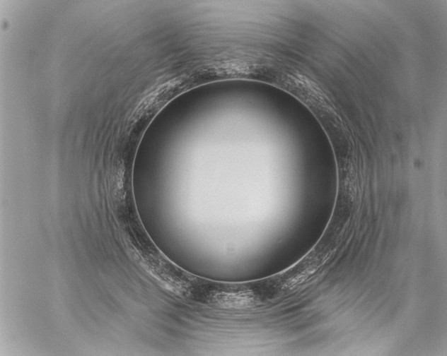 X0000059060548200510171942