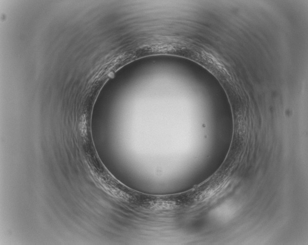 X0000059060549200510171942