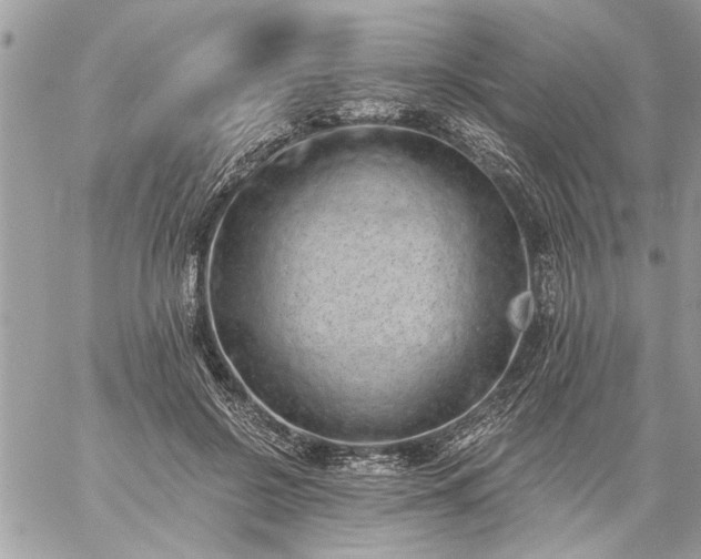 X0000059060550200510171942