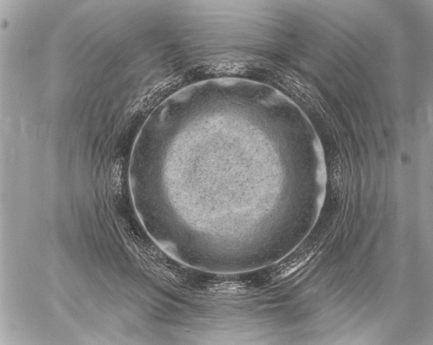 X0000059060551200510171942