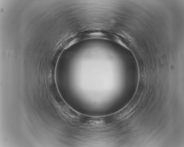 X0000059060552200510171942