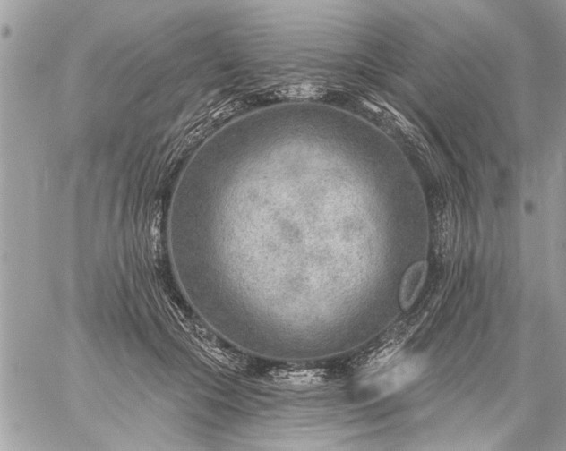 X0000059060553200510171942