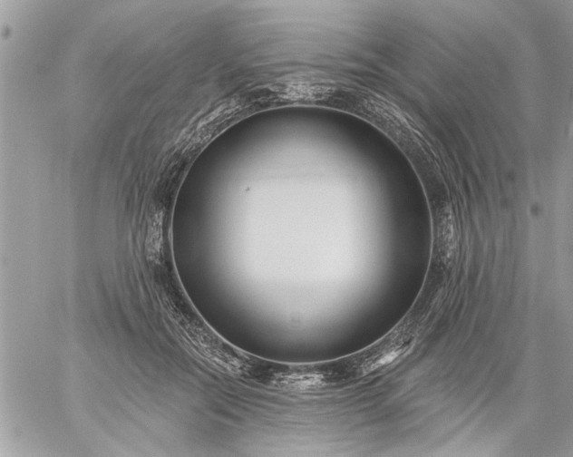 X0000059060554200510171942