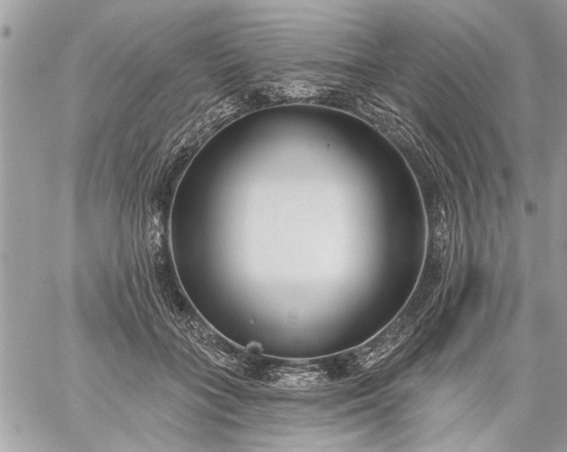 X0000059060555200510171942