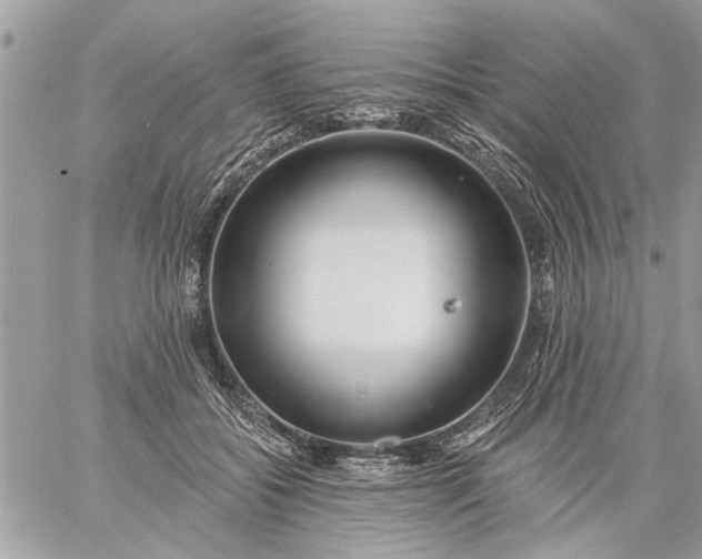 X0000059060556200510171942