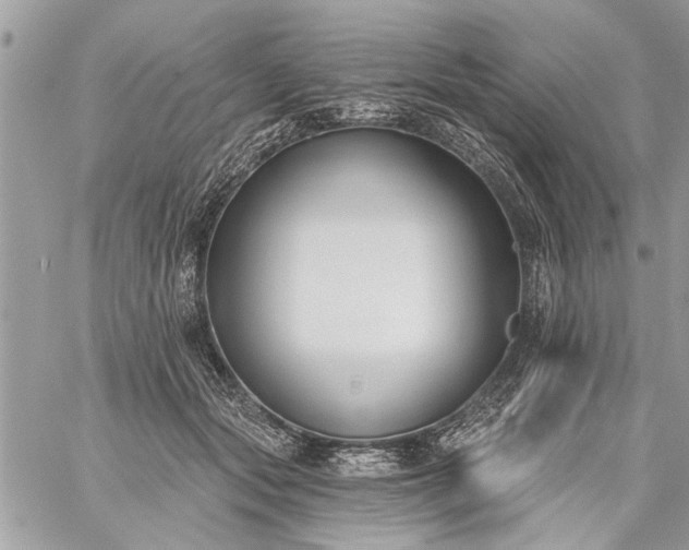 X0000059060557200510171942