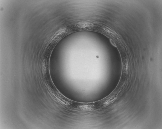 X0000059060558200510171942