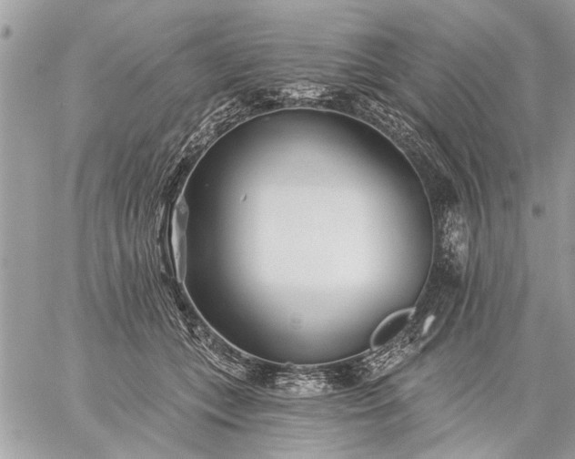 X0000059060559200510171942