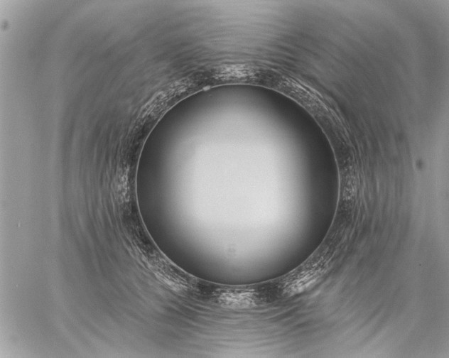 X0000059060560200510171942