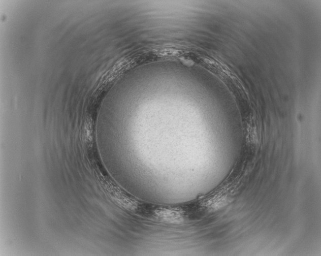 X0000059060561200510171942