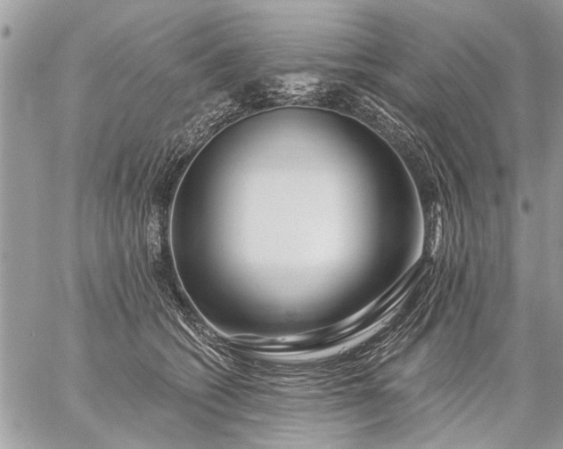 X0000059060562200510171942