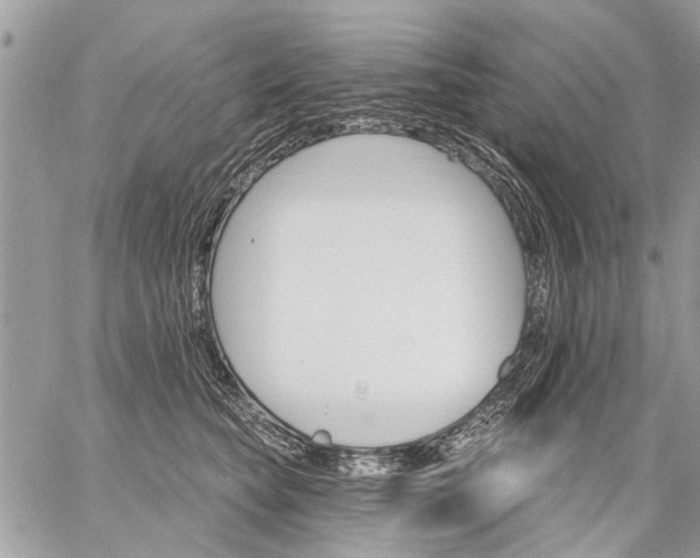 X0000059060565200510171942