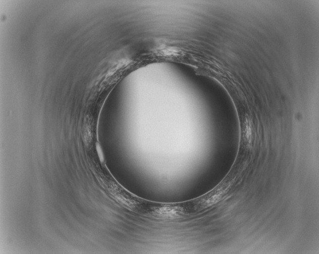 X0000059060566200510171942