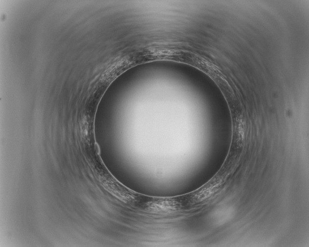 X0000059060567200510171942