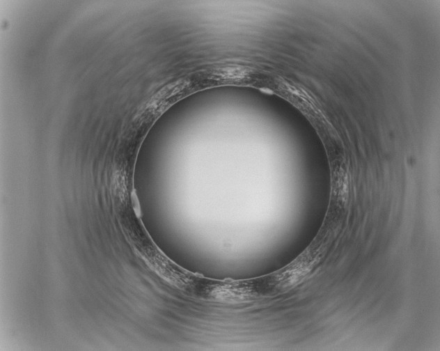 X0000059060568200510171942