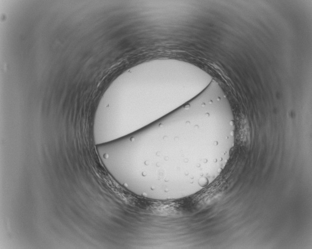 X0000059060569200510171942