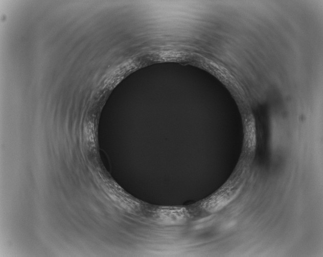 X0000059060571200510171942