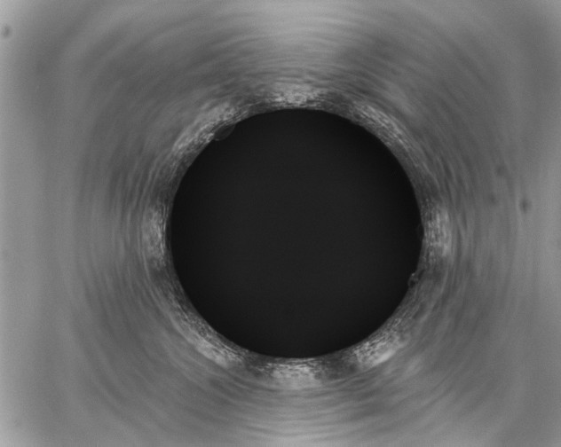 X0000059060572200510171942