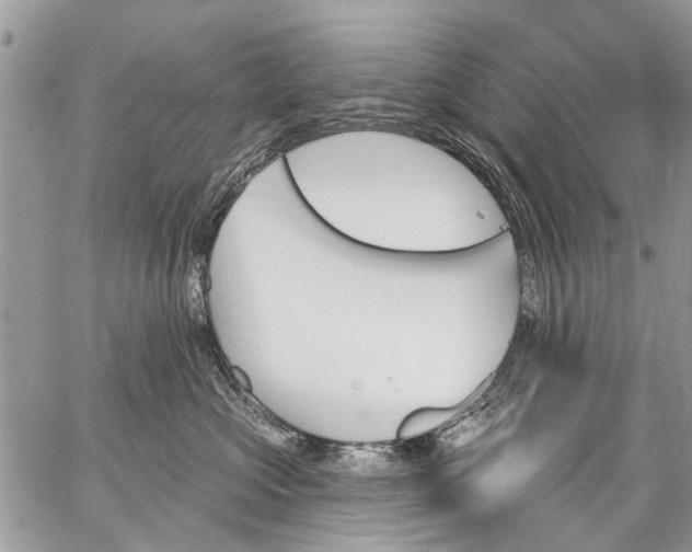 X0000059060573200510171942