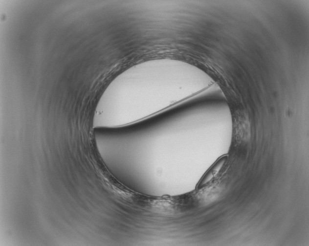 X0000059060574200510171942