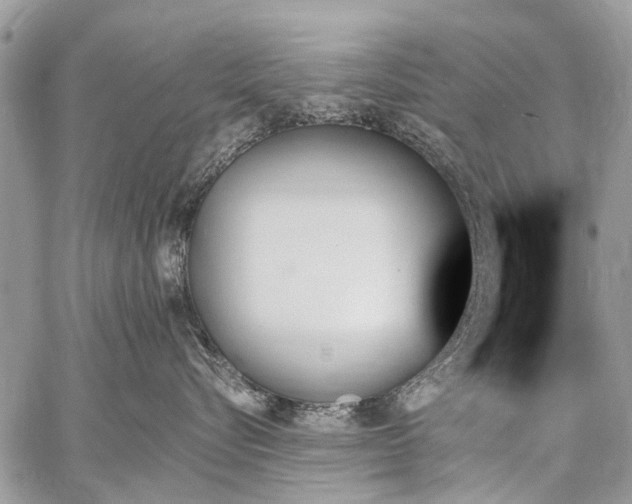 X0000059060576200510171942