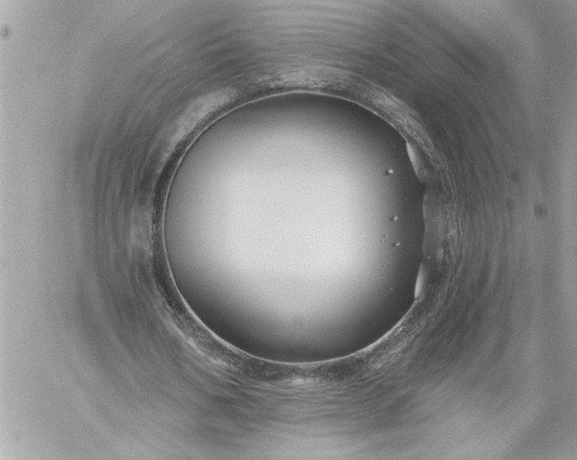 X0000059060578200510171942