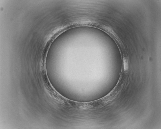 X0000059060579200510171941