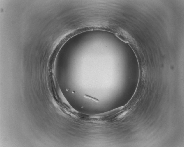 X0000059060580200510171941