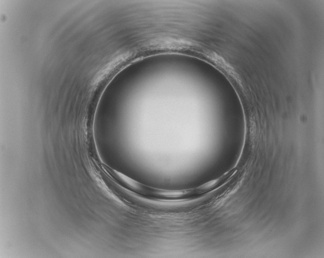 X0000059060581200510171941