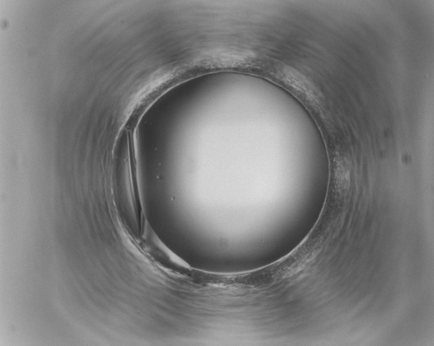 X0000059060582200510171941