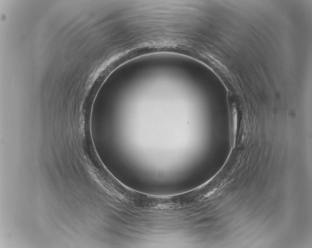 X0000059060584200510171941