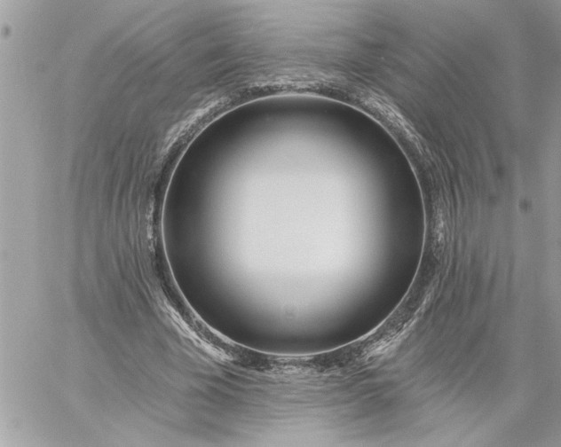 X0000059060585200510171941