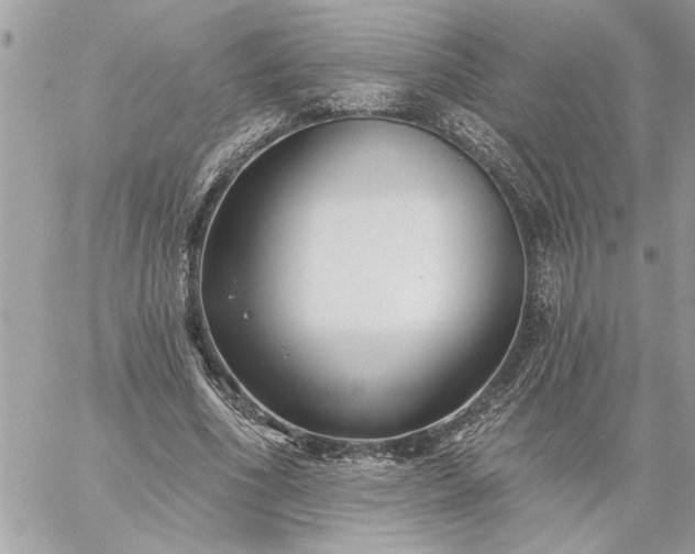 X0000059060586200510171941