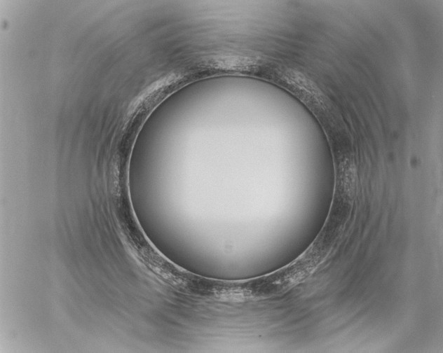 X0000059060587200510171941