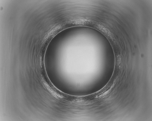 X0000059060589200510171941