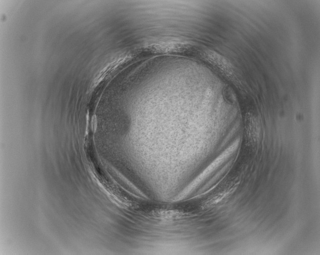 X0000059060590200510171941