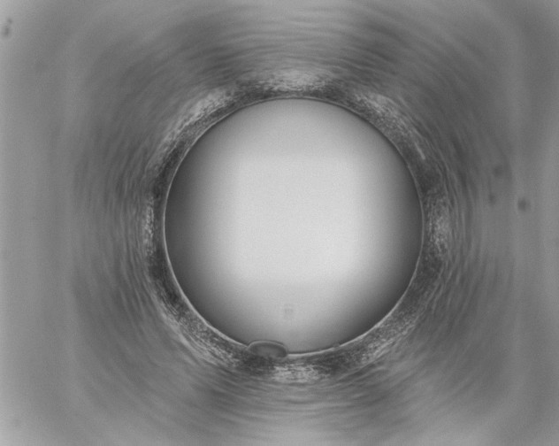 X0000059060591200510171941