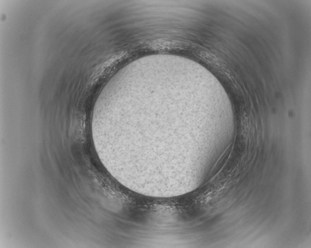 X0000059060592200510171941