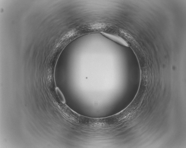 X0000059060593200510171941