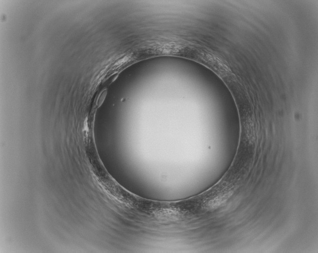 X0000059060594200510171941