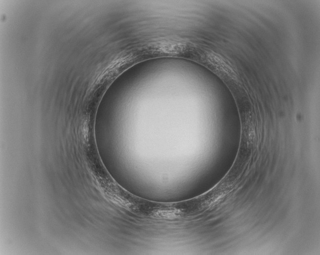 X0000059060595200510171941