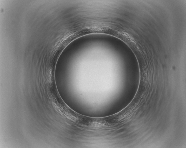 X0000059060596200510171941