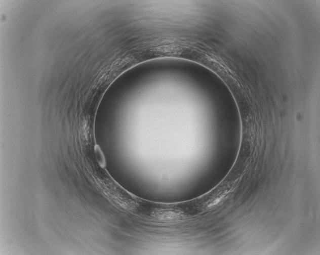 X0000059060597200510171941