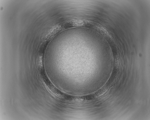 X0000059060598200510171941