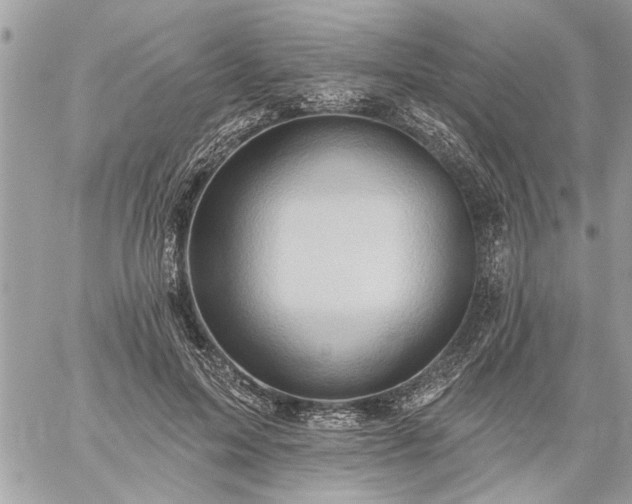 X0000059060599200510171941