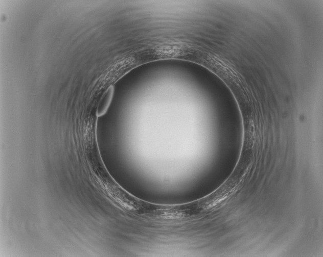 X0000059060601200510171941