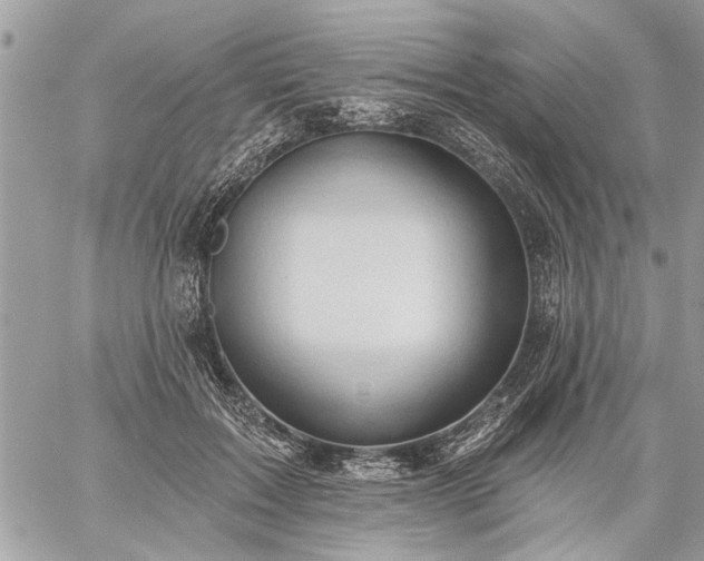 X0000059060603200510171941